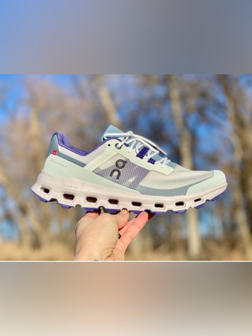 On Running Cloudvista Mint with Purple Accents